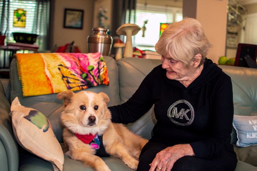 Meals on Wheels...for Pets?