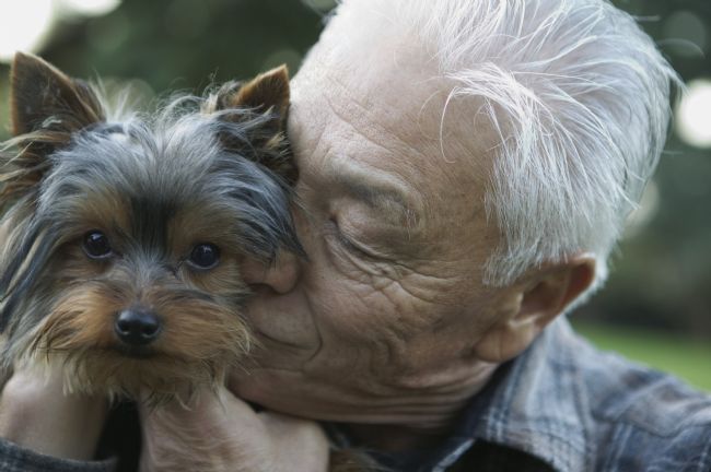 Friends Fur-ever: The Benefits of Seniors Owning Pets